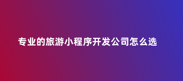 專業(yè)的旅游小程序開發(fā)公司.png